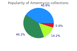 order 200 mg amermycin amex